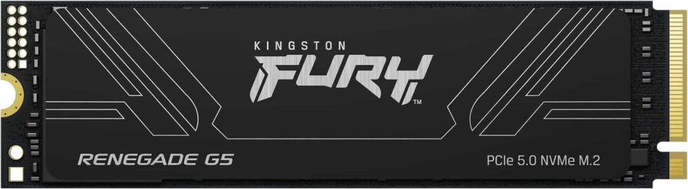 SSD Kingston Fury Renegade G5 1TB SFYR2S/1T0