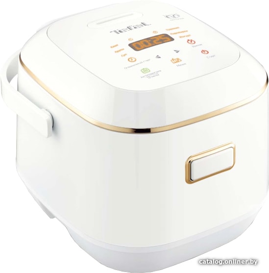 Мультиварка Tefal RK601132