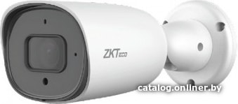 IP-камера ZKTeco BL-855L38S-E3