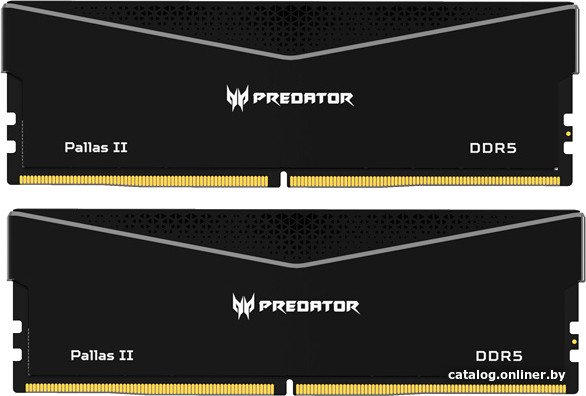 Acer Predator Pallas II 2x16ГБ DDR5 6000 МГц BL.9BWWR.650