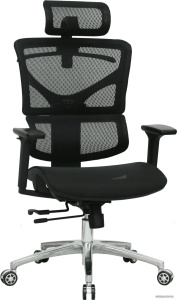 ERGO Mesh (черный)