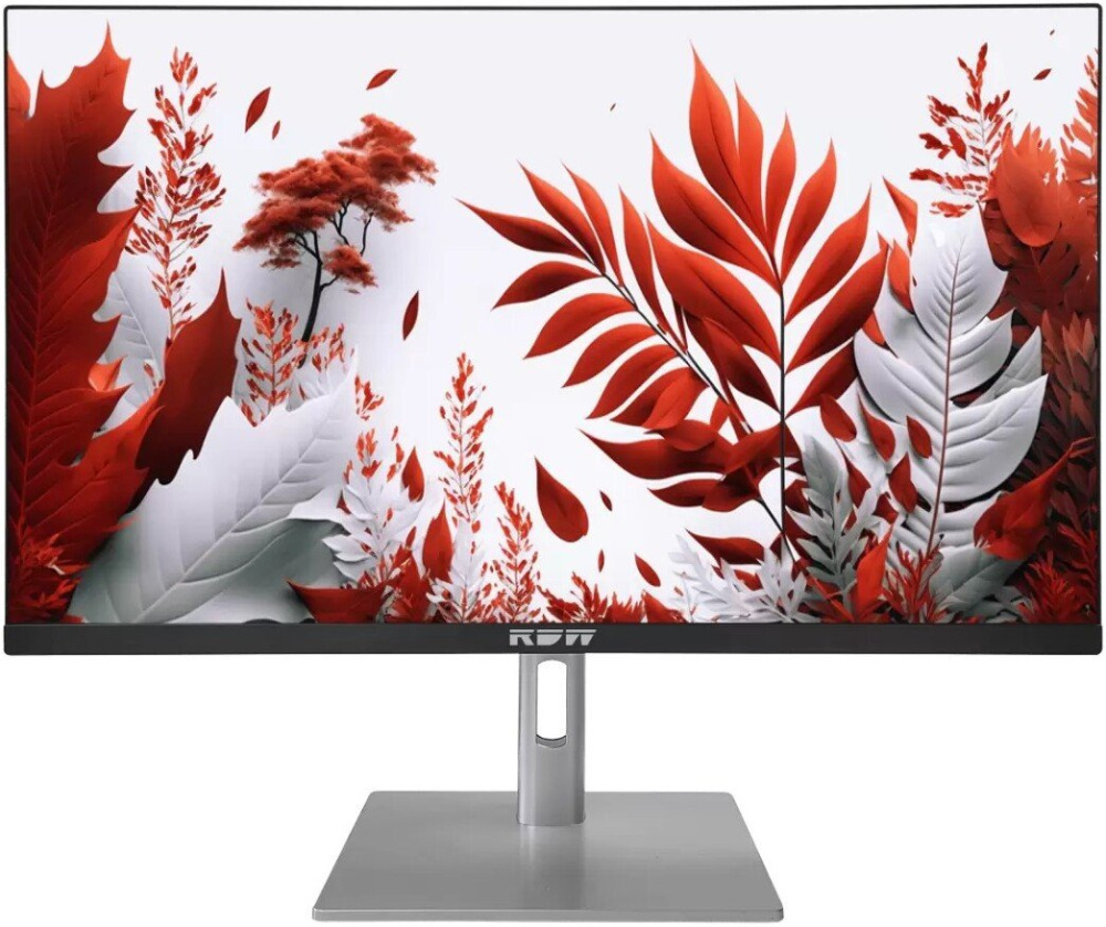 Монитор RDW Computers 2407K/F14В3120V2A1B