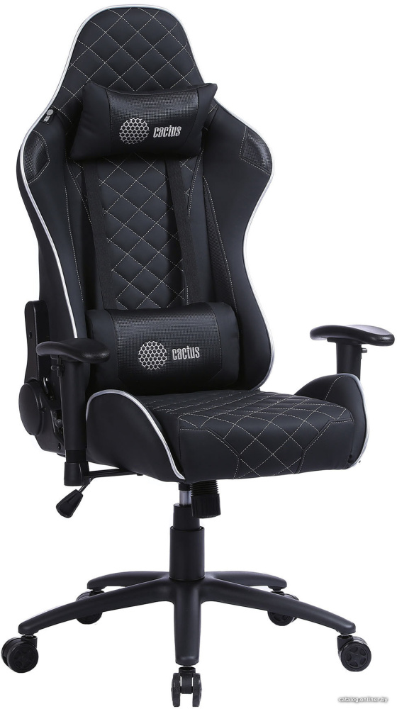 Кресло CACTUS CS-CHR-030BLS (черный/серебристый)