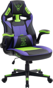 Asgard Purple-Green (фиолетовый/зеленый)