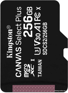 Canvas Select Plus microSDXC 256GB