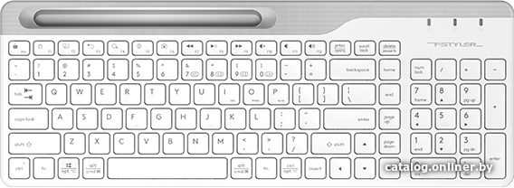 Клавиатура A4Tech Fstyler FBK25 (белый/серый)