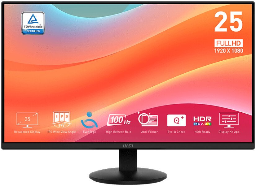 MSI PRO MP252L
