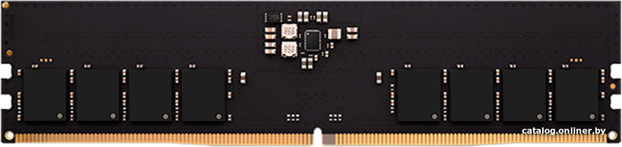 Оперативная память AMD Radeon R5 Entertainment Series 16ГБ DDR5 5600 МГц R5516G5600U1S-U