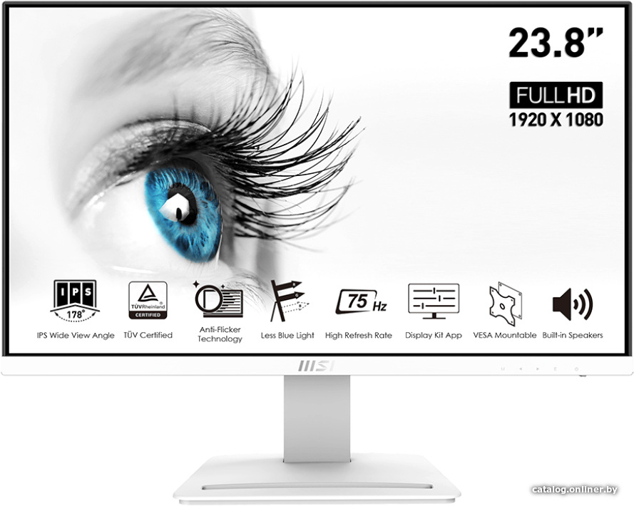 MSI Pro MP243W