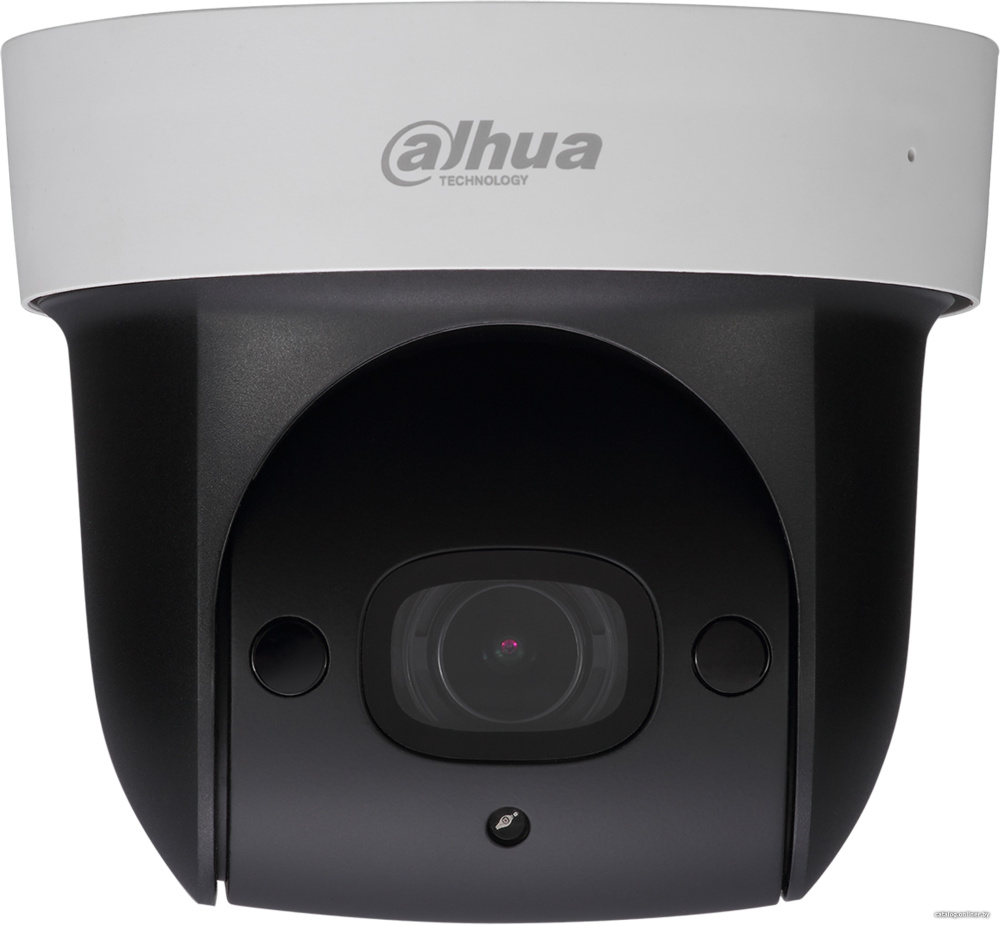 IP-камера Dahua DH-SD29204UE-GN