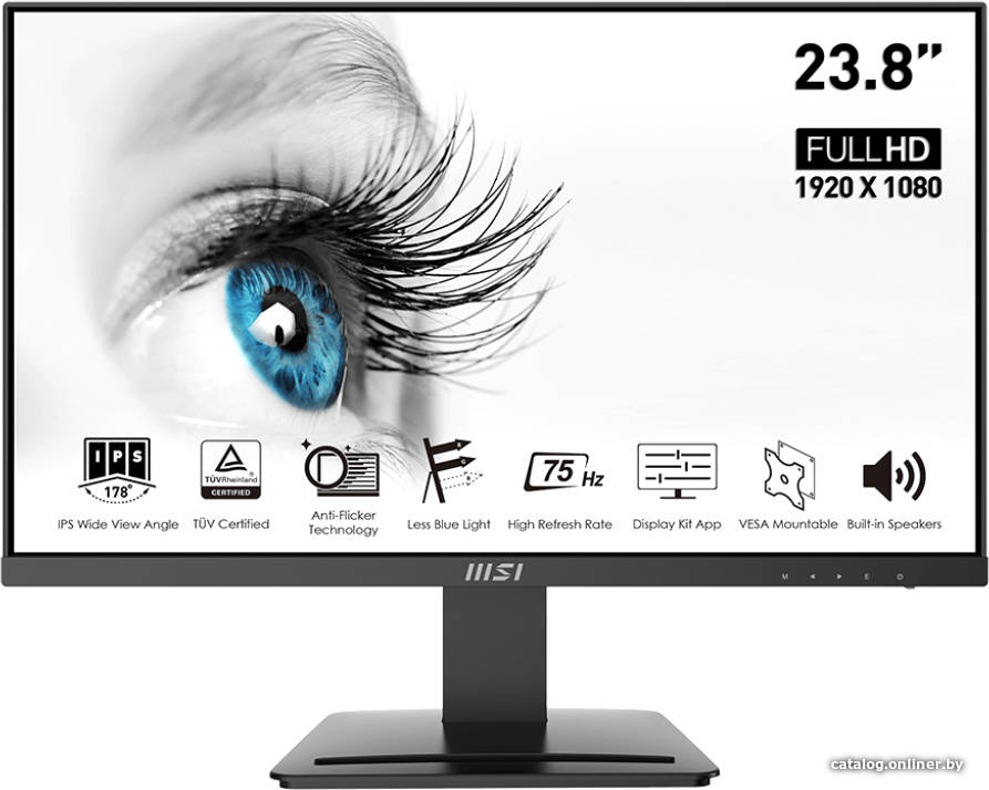 MSI Pro MP243