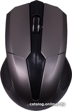 Мышь Ritmix RMW-560 (черный/серый)