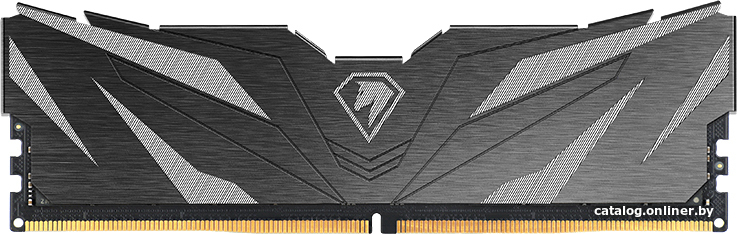 Netac Shadow II 16ГБ DDR5 4800 МГц NTSWD5P48SP-16K