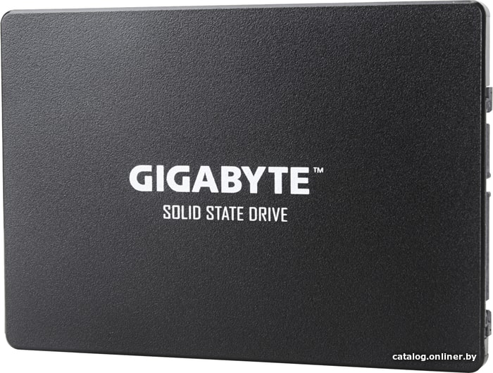 SSD Gigabyte 1TB GP-GSTFS31100TNTD