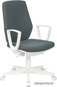 CH-W545 (серый)