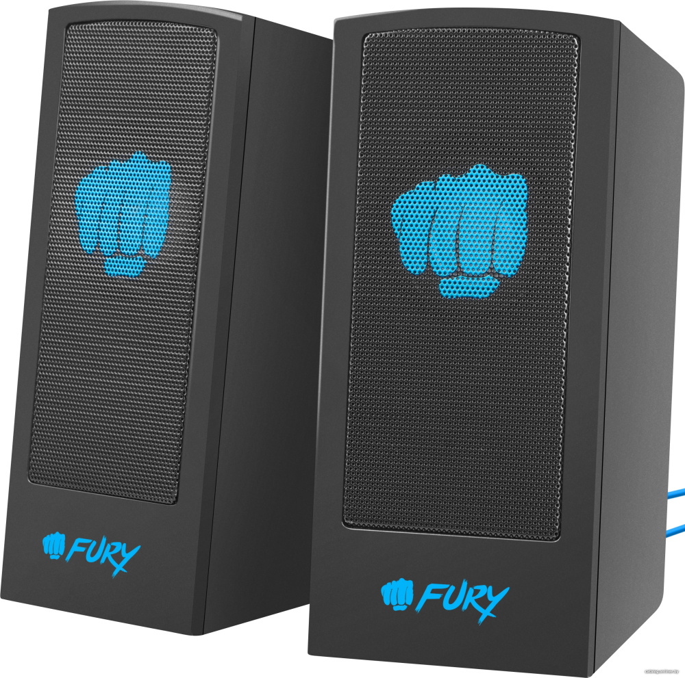 Акустика Fury Skyray