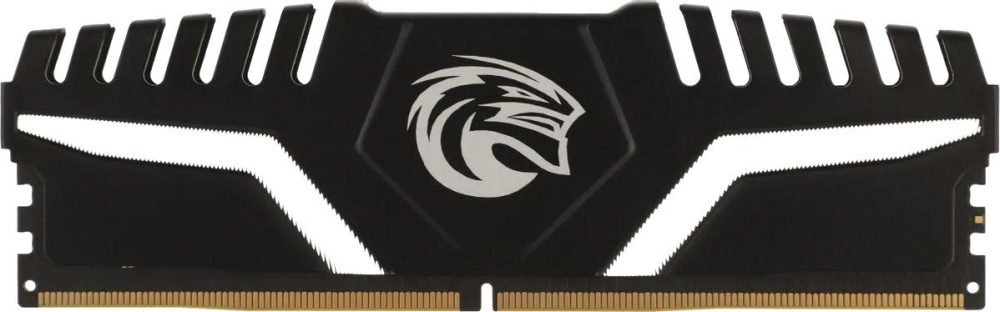 KingSpec Storm 8ГБ DDR5 4800 МГц KS4800D5M11008G