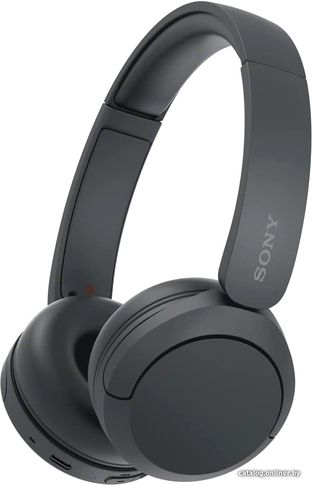 Наушники Sony WH-CH520 (черный)