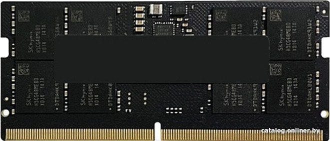 Оперативная память AMD Radeon R5 Entertainment Series 16ГБ DDR5 SODIMM 5600 МГц R5516G5600S1S-U