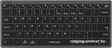 Клавиатура A4Tech Fstyler FBX51C (серый/черный)
