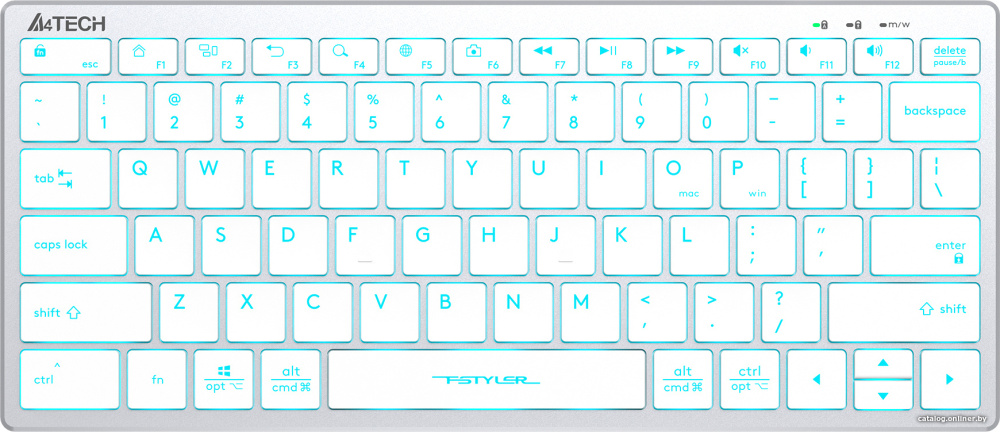 Клавиатура A4Tech Fstyler FX61 (серебристый/белый)