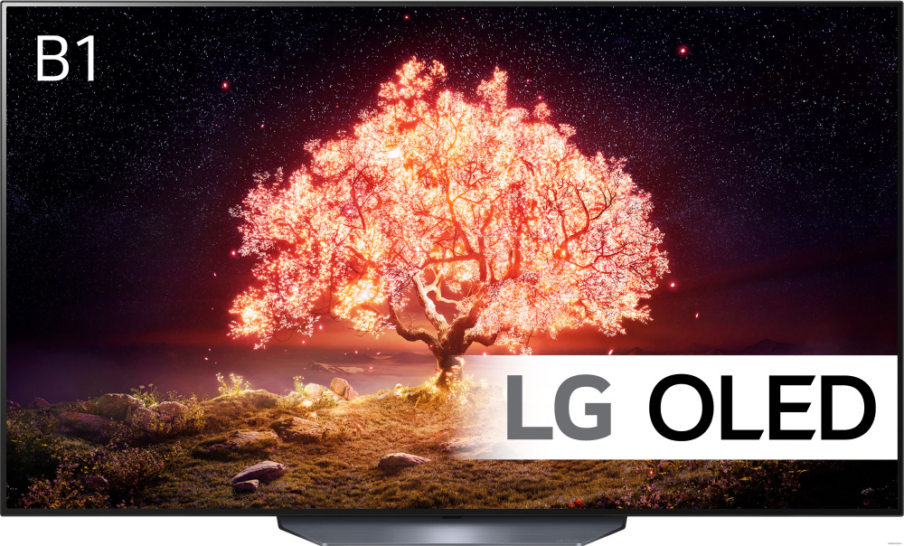 Телевизор LG OLED65B1RLA