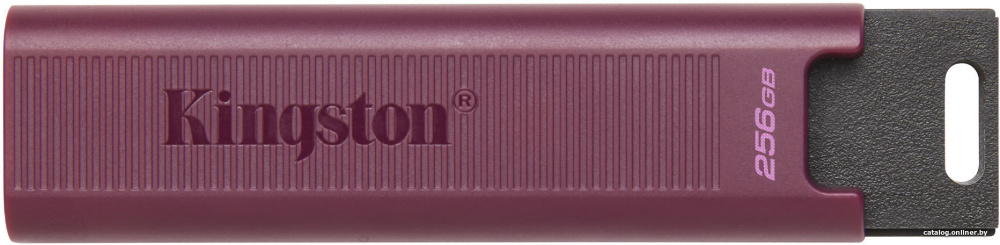 USB Flash Kingston DataTraveler Max Type-A 256GB