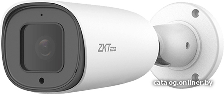 IP-камера ZKTeco BL-854N38A-E3