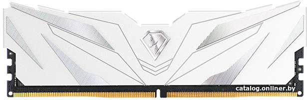 Netac Shadow II White 16ГБ DDR5 4800 МГц NTSWD5P48SP-16W