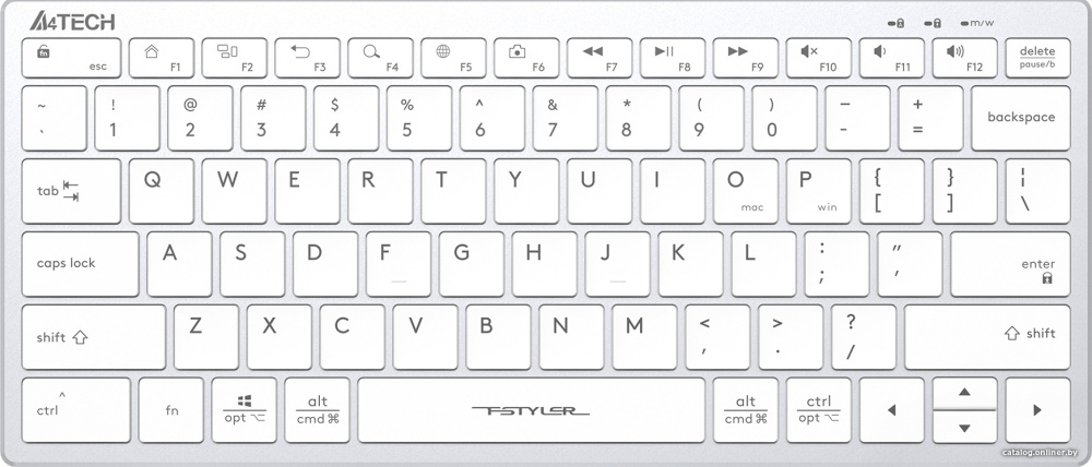 Клавиатура A4Tech Fstyler FX51 (серебристый/белый)