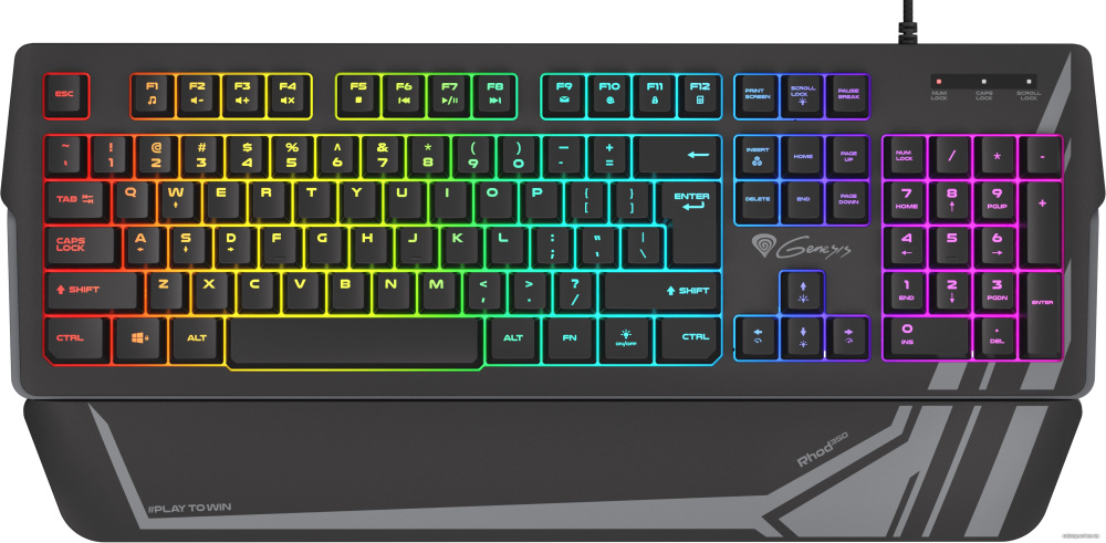 Клавиатура Genesis Rhod 350 RGB