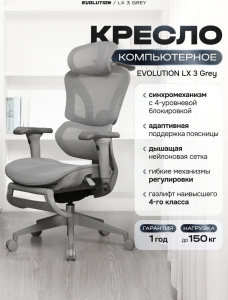 LX 3 Grey (серый)