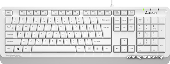 Клавиатура A4Tech Fstyler FKS10 (белый/серый)