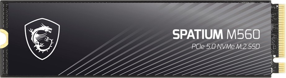 SSD MSI Spatium M560 2TB S78-440Q940-P83