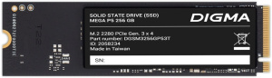 Mega P5 256GB DGSM3256GP53T
