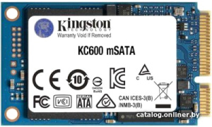 KC600 256GB SKC600MS/256G