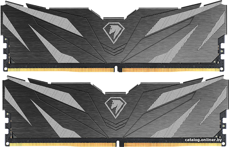 Netac Shadow II 2x16ГБ DDR5 4800 МГц NTSWD5P48DP-32K