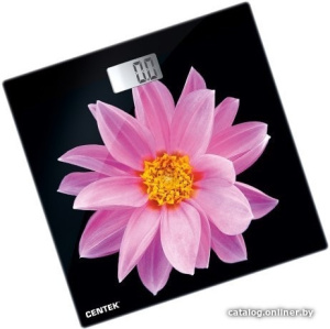 CT-2416 Pink Flower