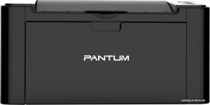 P2500W