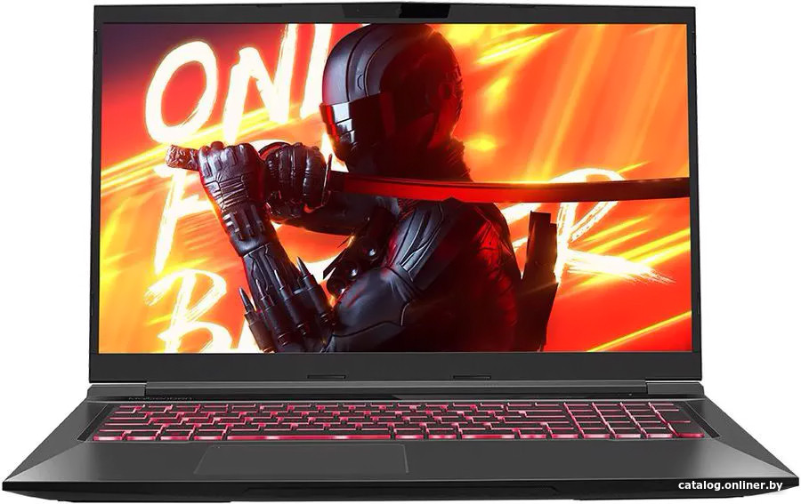 Игровой ноутбук Maibenben X668 X668QSGELBRE0