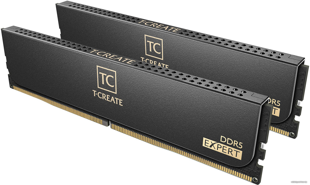 Team T-Create Expert 2x48ГБ DDR5 6800 МГц CTCED596G6800HC36DDC01