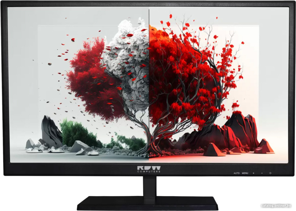 Монитор RDW Computers 2401K/F00В0100V2A1H