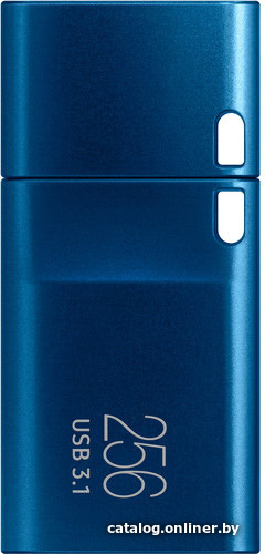 USB Flash Samsung USB Type-C 256GB (синий)