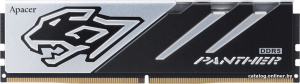 Panther 16ГБ DDR5 6000 МГц AH5U16G60C6227BAA-1