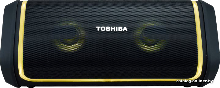 Беспроводная колонка Toshiba TY-WSP150