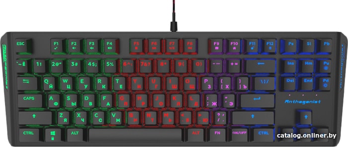 Клавиатура Ritmix RKB-500 Anthagonist