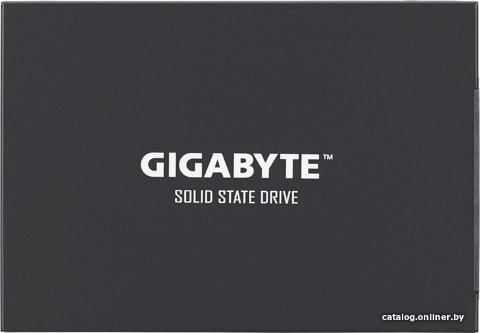 SSD Gigabyte UD Pro 256GB GP-GSTFS30256GTTD