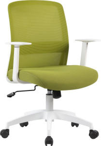 CS-WMC333-GN (салатовый)