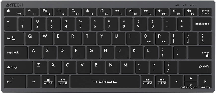 Клавиатура A4Tech Fstyler FX51 (серый/черный)