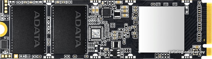 SSD A-Data XPG SX8100 1TB ASX8100NP-1TT-C